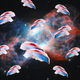 Illustration for article titled These pictures of sushi floating in space are truly awesome